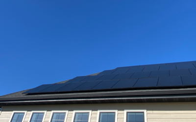 Why Should I Go Solar? The Benefits of Having a Solar System